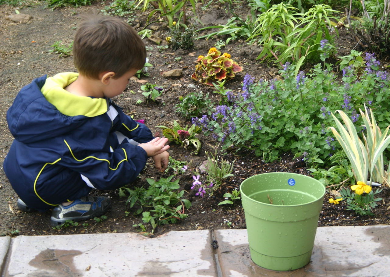 what-to-do-about-wet-feet-planters-place