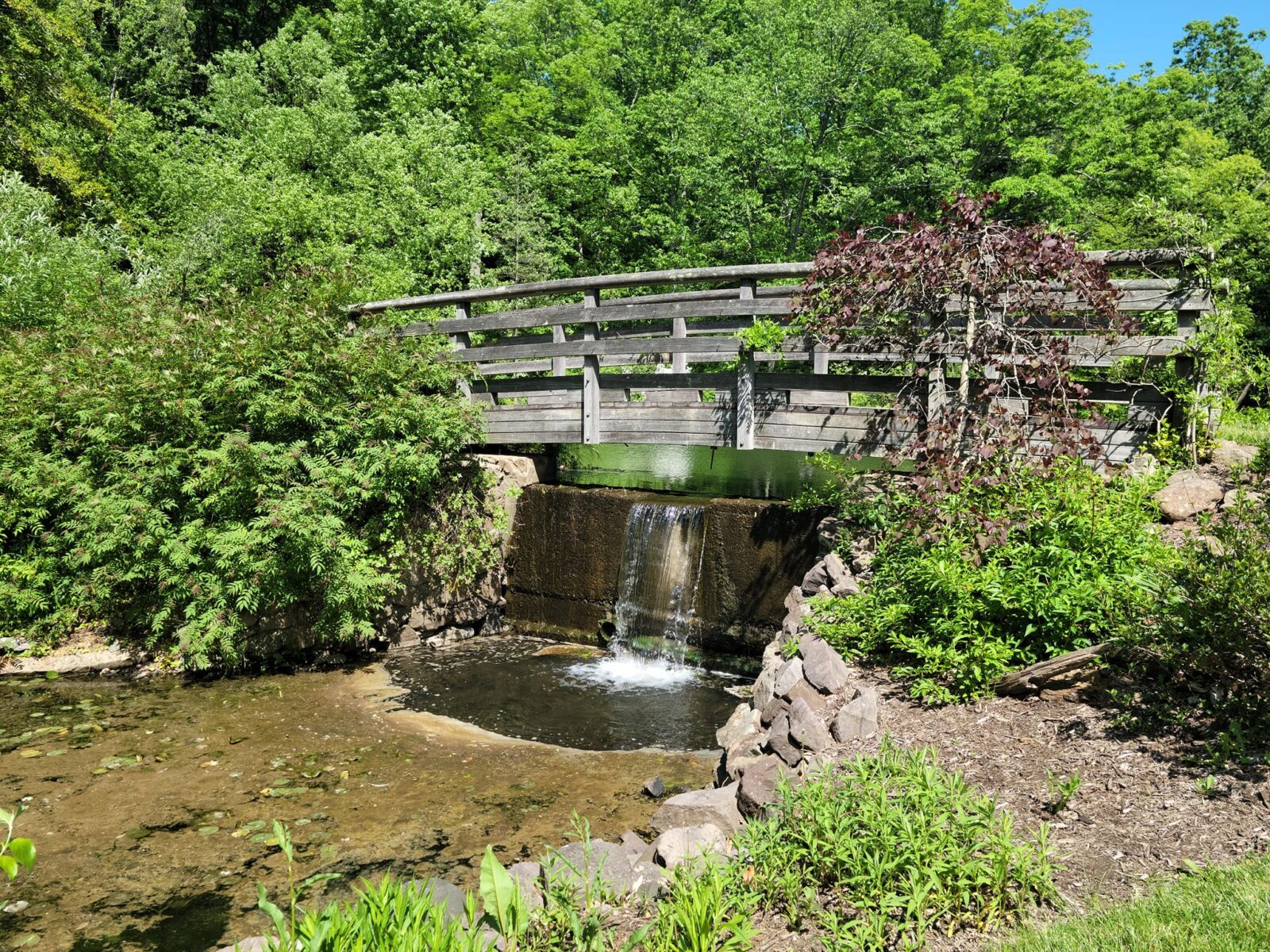 Shangri-la Bridge To Waterfall - Planters Place