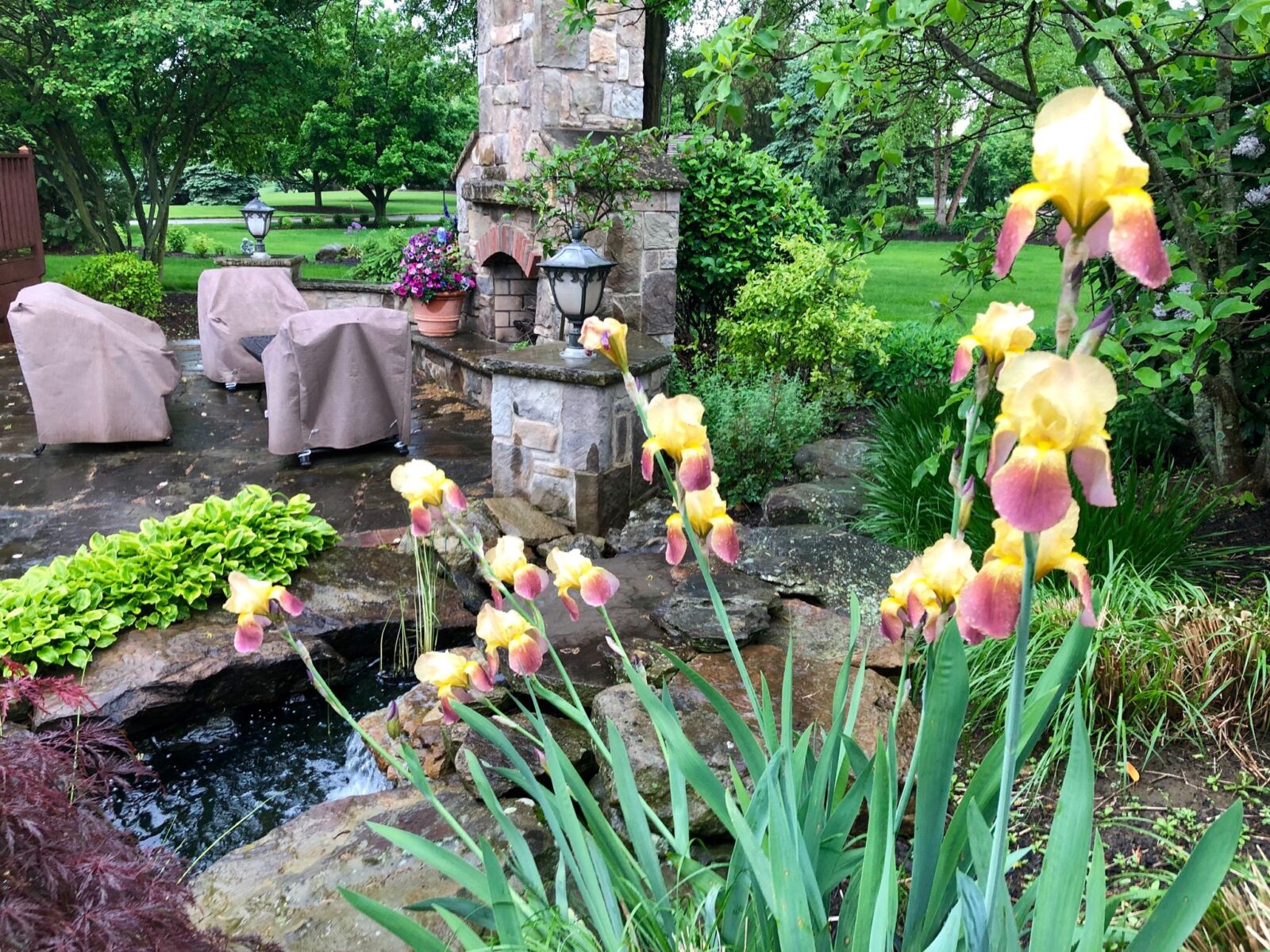 Planting Spring Blooming Bulbs Before Winter Freeze Planters Place