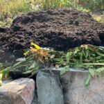 Lasagna gardening is one way to use garden debris.