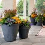 Planters shown with colorful plants in them.