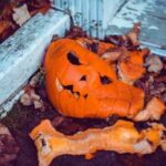 Decomposing carved pumpkins and gourds on a porch.