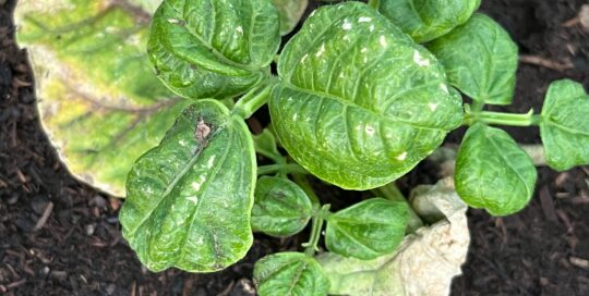 Look for problems now so you can address them before summer.