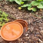 terra cotta pot buried in raised bed