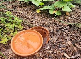 terra cotta pot buried in raised bed