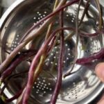 rat-tail radish pods
